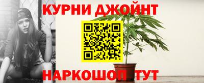 гидра Заводоуковск