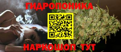 гашик Жуковский