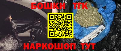гидра Заводоуковск