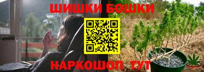 гашик Жуковский