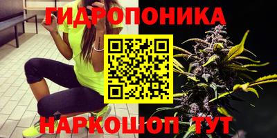 гидра Заводоуковск