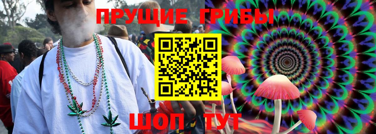 Галлюциногенные грибы Cubensis  Вход с VPN  Киселёвск 