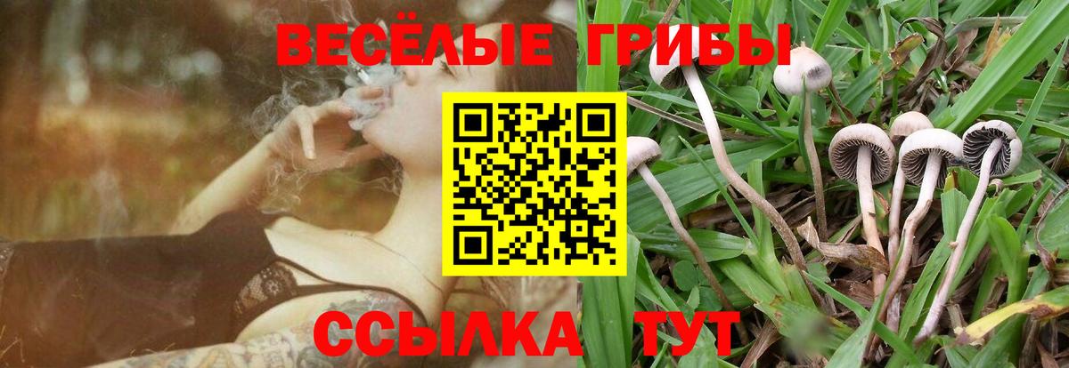 Псилоцибиновые грибы GOLDEN TEACHER Киселёвск